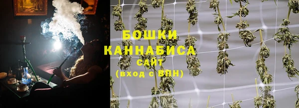 дживик Гусь-Хрустальный
