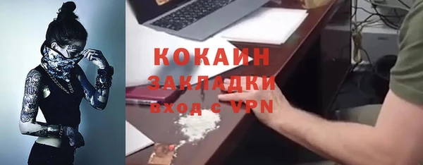 дживик Гусь-Хрустальный