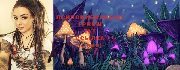 эйфоретик Гусиноозёрск