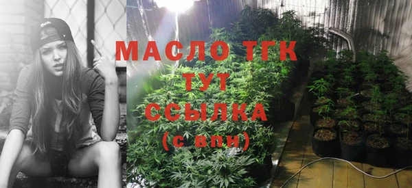 дживик Гусь-Хрустальный