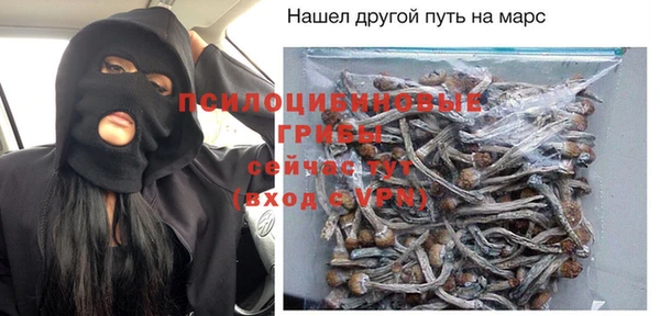 дживик Гусь-Хрустальный