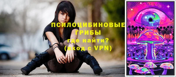эйфоретик Гусиноозёрск