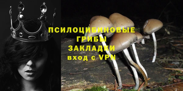 MDMA Гусев