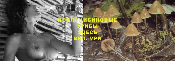 MDMA Гусев